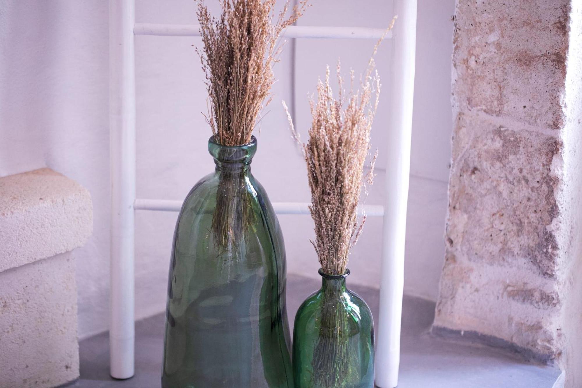 Apartmán Le Jardi Ostuni By Go New Location Exteriér fotografie